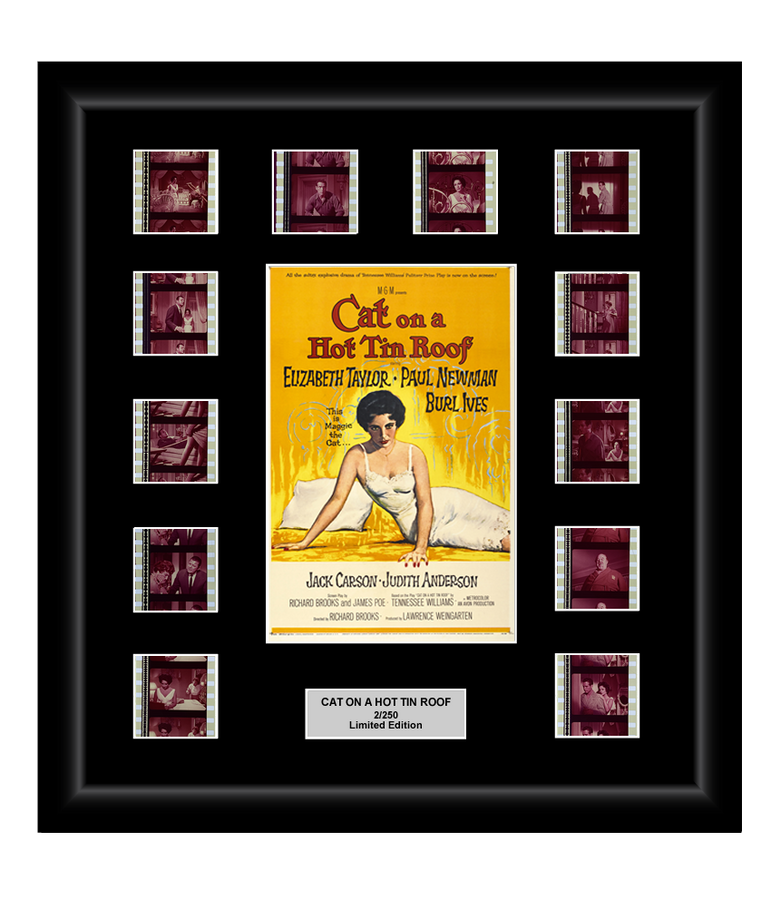 Cat on a Hot Tin Roof (1958) - 12 Cell Classic Display