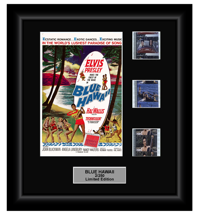 Blue Hawaii (1961) - 3 Cell Classic Display