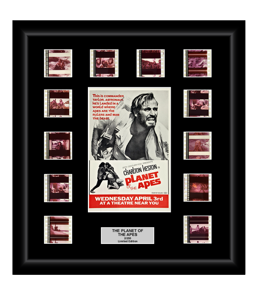 Planet of the Apes (1968) - 12 Cell Classic Display