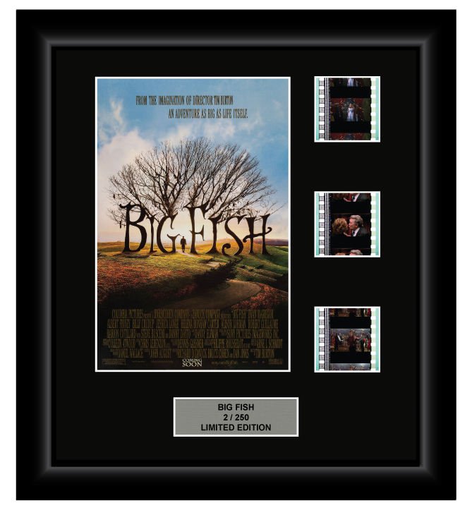 Big Fish (2003) - 3 Cell Display