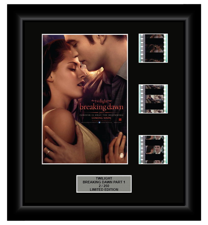 Twilight Saga: Breaking Dawn - Part 1 (2011) - 3 Cell Display (2)