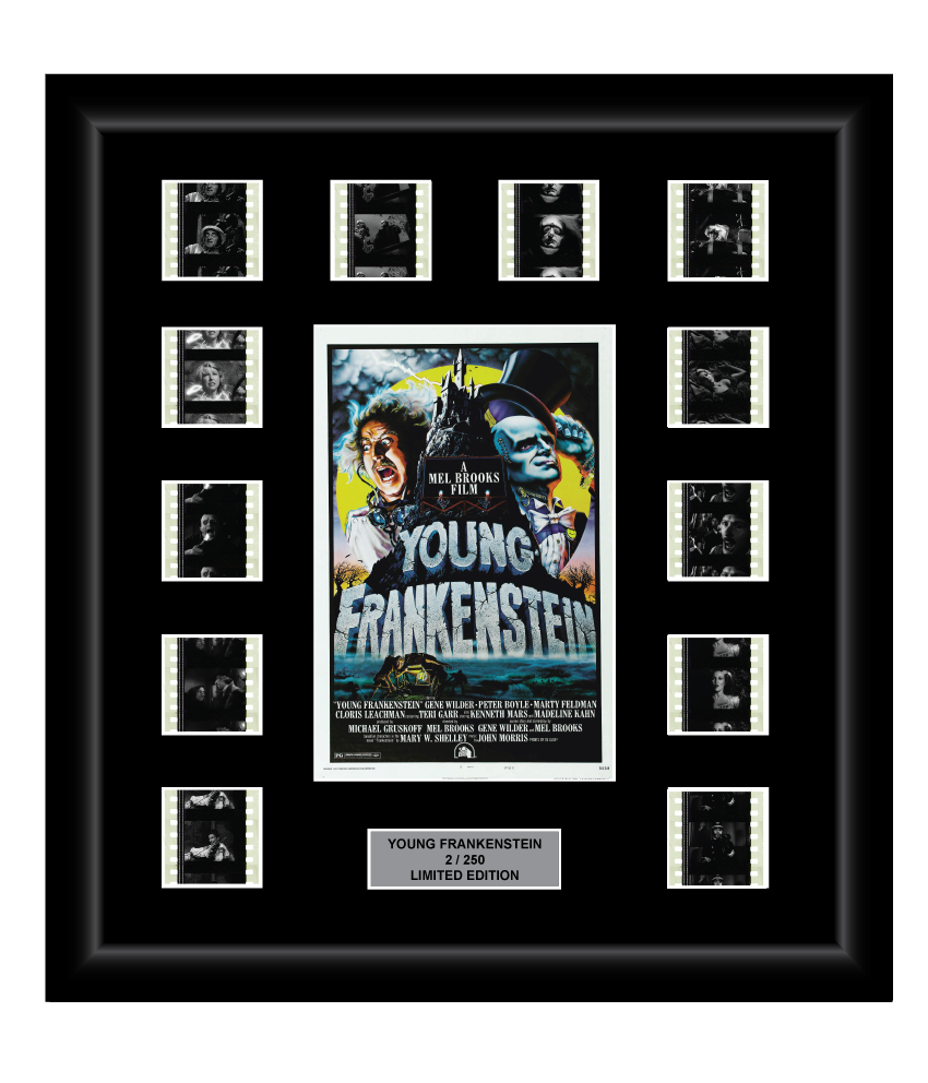 Young Frankenstein (1974) - 12 Cell Display