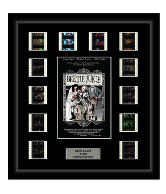 Beetlejuice (1988) - 12 Cell Display