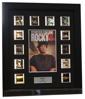 Rocky V - 12 Cell Display